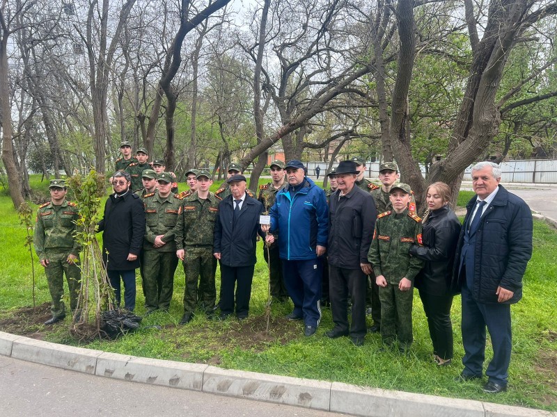 В Махачкале посадили деревья «Победы»
