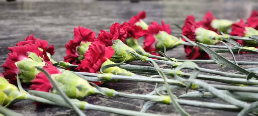 Вечная память героям… Женщины-соотечественницы возложили цветы к памятнику Воину-освободителю