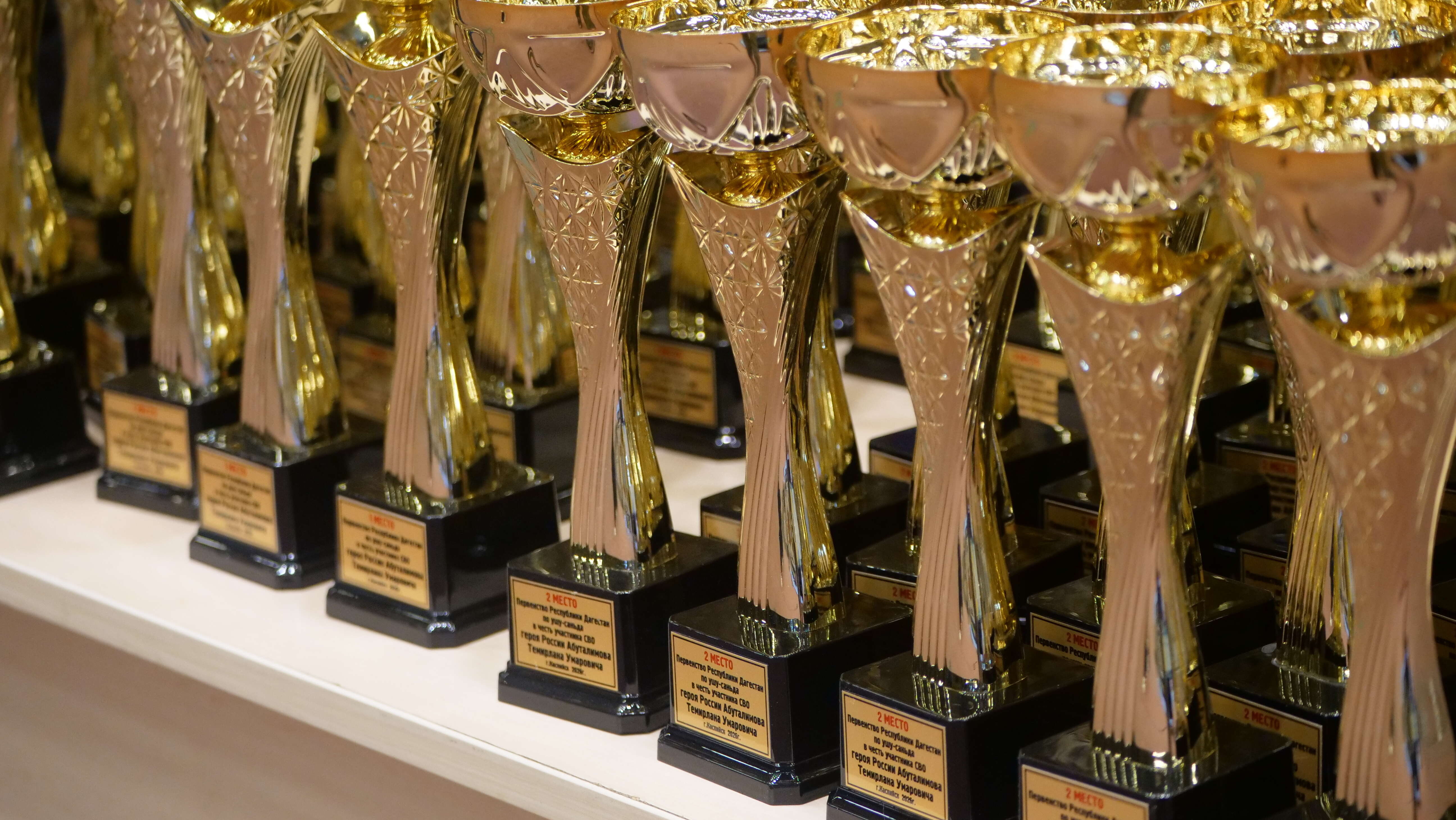 Герой и юные чемпионы. В Каспийске завершилось первенство Дагестана по ушу-саньда в честь Героя России Темирлана Абуталимова